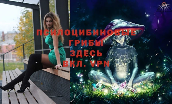 ALPHA PVP Алексеевка