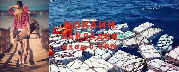 кокс Алексин
