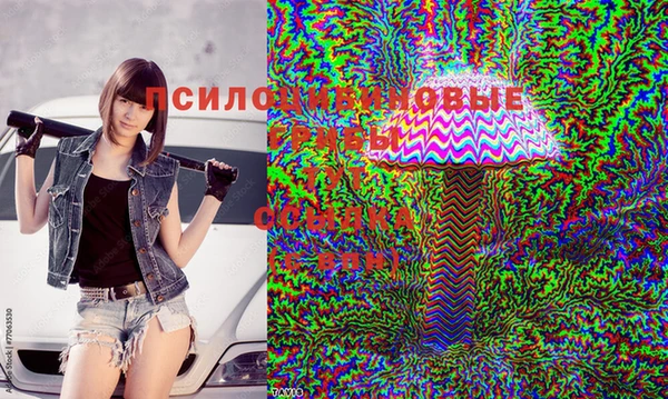 винт Алзамай