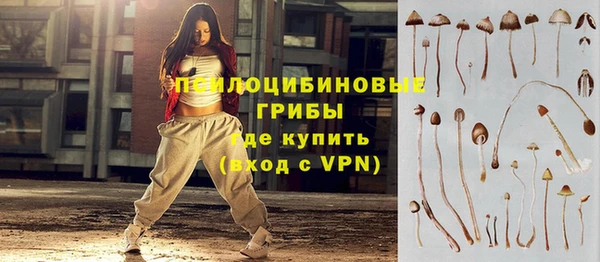 дмт Абинск